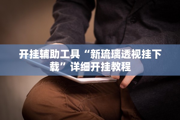 开挂辅助工具“新琉璃透视挂下载”详细开挂教程