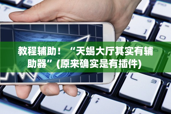 教程辅助！“天蝎大厅其实有辅助器”(原来确实是有插件) 
