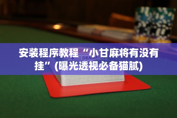 安装程序教程“小甘麻将有没有挂”(曝光透视必备猫腻)