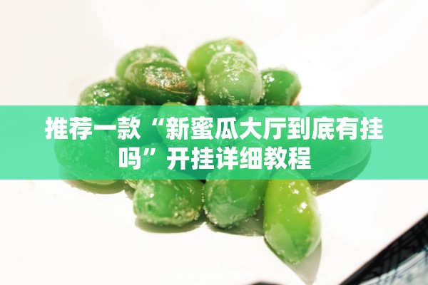 推荐一款“新蜜瓜大厅到底有挂吗	”开挂详细教程