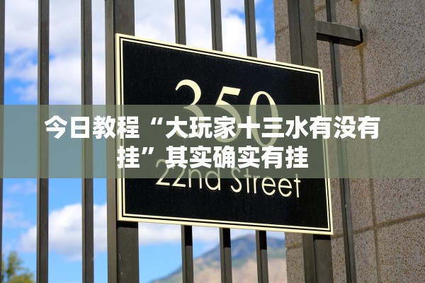 今日教程“大玩家十三水有没有挂	”其实确实有挂