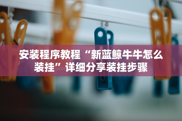 安装程序教程“新蓝鲸牛牛怎么装挂”详细分享装挂步骤