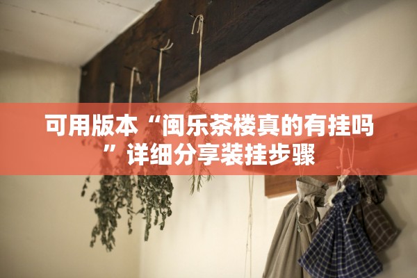 可用版本“闽乐茶楼真的有挂吗”详细分享装挂步骤