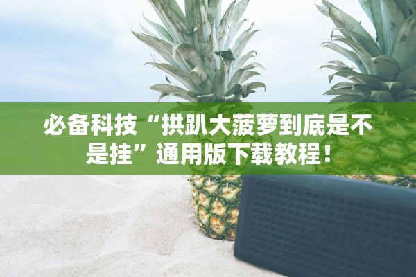 必备科技“拱趴大菠萝到底是不是挂”通用版下载教程！