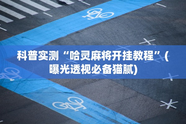 科普实测“哈灵麻将开挂教程”(曝光透视必备猫腻)