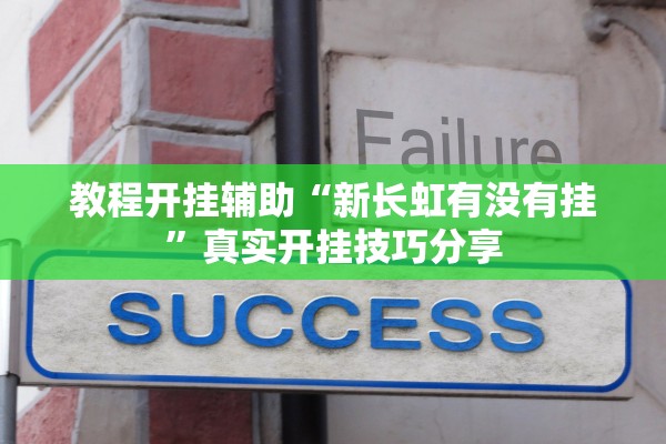 教程开挂辅助“新长虹有没有挂”真实开挂技巧分享