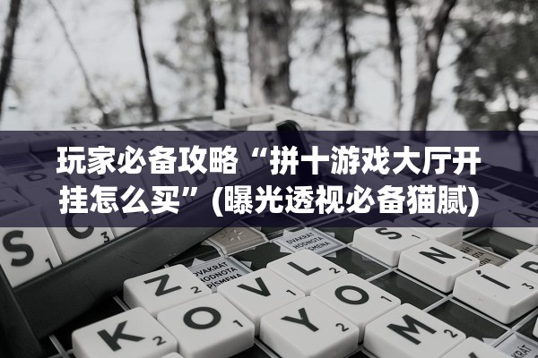 玩家必备攻略“拼十游戏大厅开挂怎么买	”(曝光透视必备猫腻)