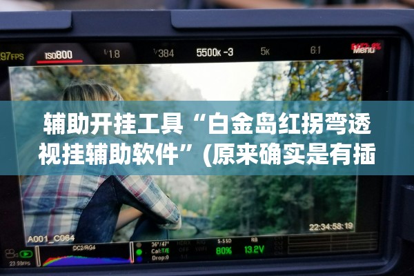辅助开挂工具“白金岛红拐弯透视挂辅助软件”(原来确实是有插件) 