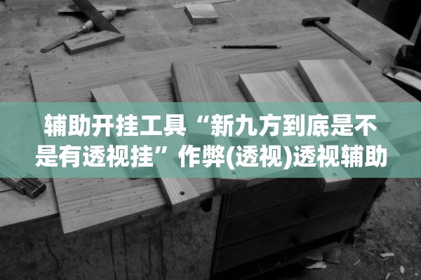 辅助开挂工具“新九方到底是不是有透视挂”作弊(透视)透视辅助 