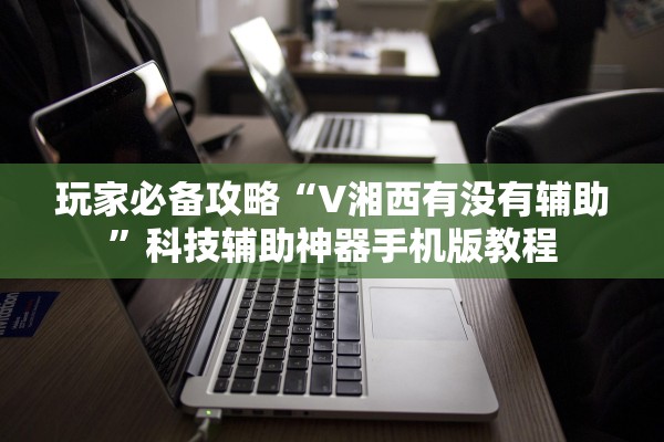 玩家必备攻略“V湘西有没有辅助”科技辅助神器手机版教程
