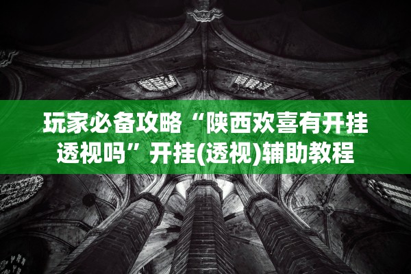 玩家必备攻略“陕西欢喜有开挂透视吗	”开挂(透视)辅助教程