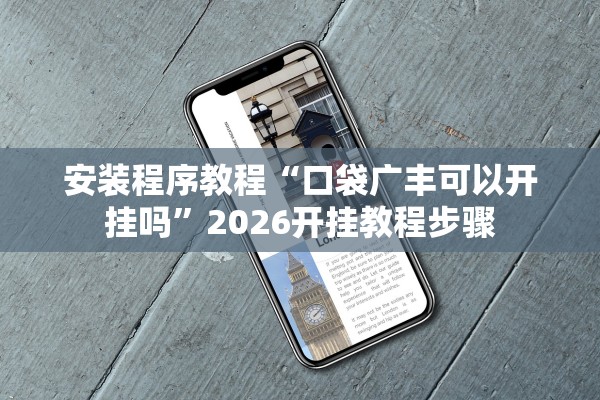 安装程序教程“口袋广丰可以开挂吗”2026开挂教程步骤