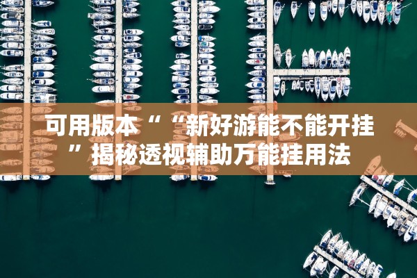 可用版本““新好游能不能开挂”揭秘透视辅助万能挂用法