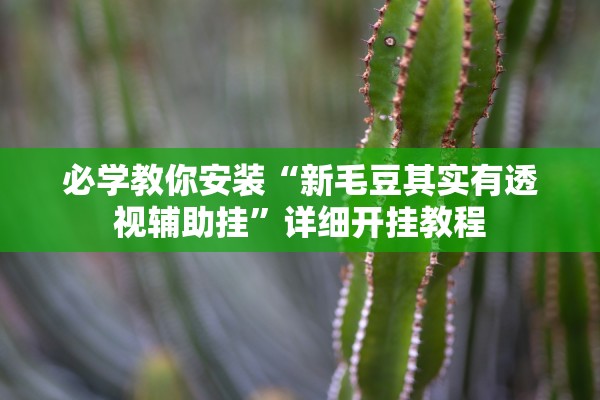 必学教你安装“新毛豆其实有透视辅助挂”详细开挂教程