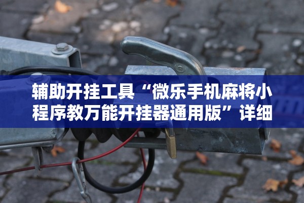 辅助开挂工具“微乐手机麻将小程序教万能开挂器通用版”详细分享装挂步骤教程