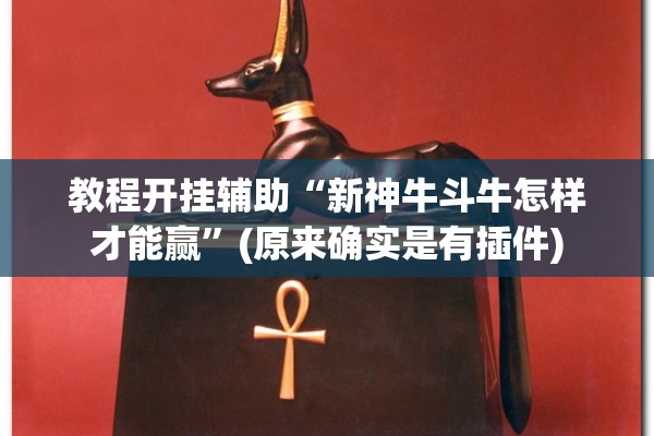 教程开挂辅助“新神牛斗牛怎样才能赢”(原来确实是有插件)