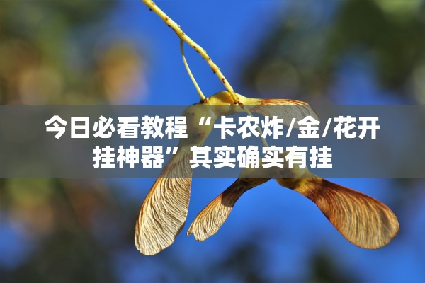 今日必看教程“卡农炸/金/花开挂神器”其实确实有挂
