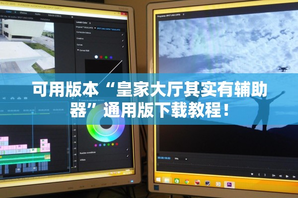 可用版本“皇家大厅其实有辅助器”通用版下载教程！