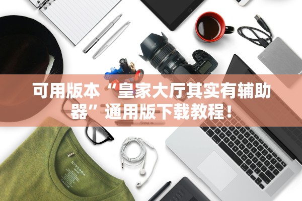 可用版本“皇家大厅其实有辅助器”通用版下载教程！