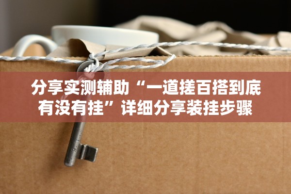 分享实测辅助“一道搓百搭到底有没有挂	”详细分享装挂步骤
