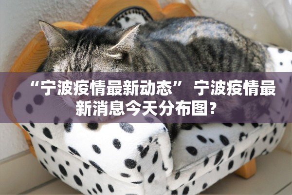 “宁波疫情最新动态” 宁波疫情最新消息今天分布图？