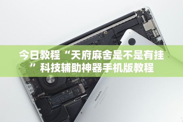 今日教程“天府麻舍是不是有挂”科技辅助神器手机版教程