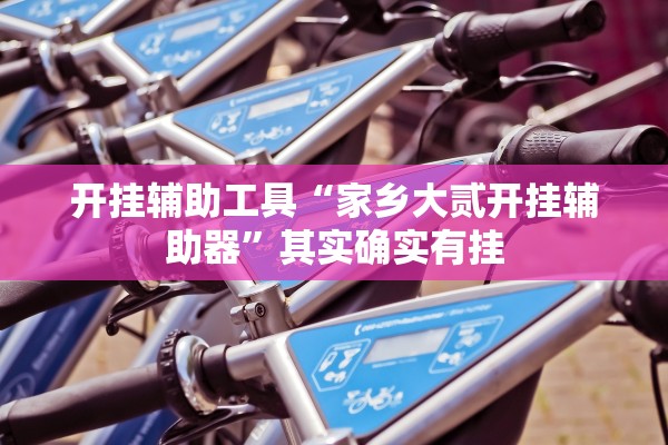 开挂辅助工具“家乡大贰开挂辅助器”其实确实有挂