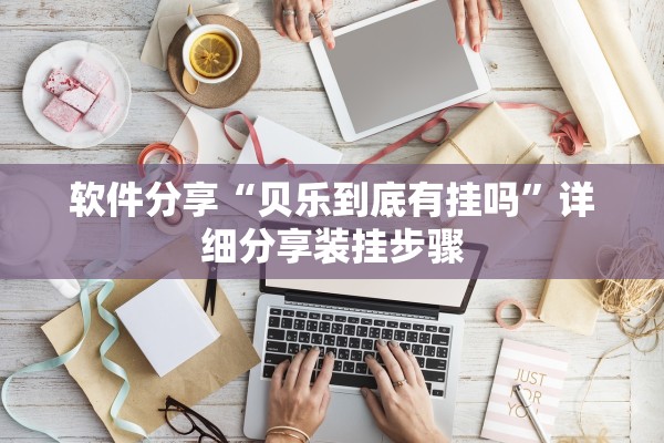 软件分享“贝乐到底有挂吗”详细分享装挂步骤