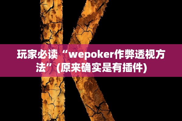 玩家必读“wepoker作弊透视方法”(原来确实是有插件)