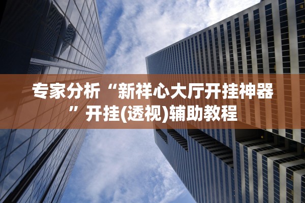 专家分析“新祥心大厅开挂神器”开挂(透视)辅助教程