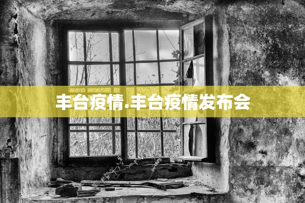 丰台疫情.丰台疫情发布会