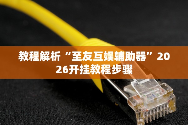 教程解析“至友互娱辅助器”2026开挂教程步骤