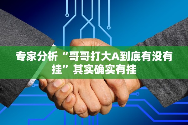 专家分析“哥哥打大A到底有没有挂	”其实确实有挂