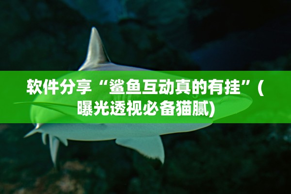 软件分享“鲨鱼互动真的有挂”(曝光透视必备猫腻)