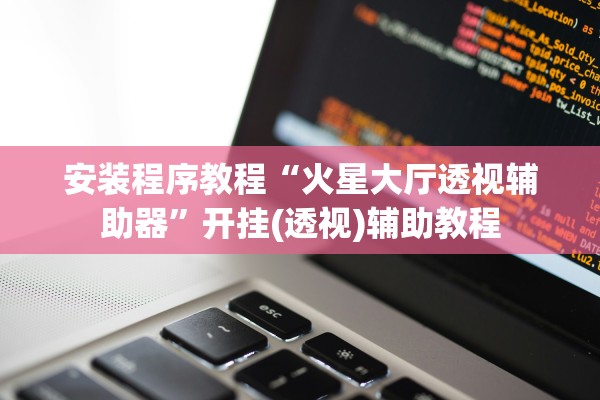 安装程序教程“火星大厅透视辅助器”开挂(透视)辅助教程