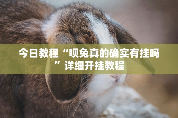 今日教程“呗兔真的确实有挂吗	”详细开挂教程