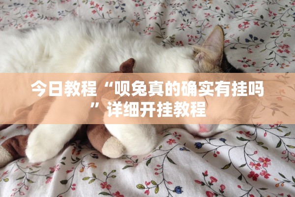 今日教程“呗兔真的确实有挂吗”详细开挂教程