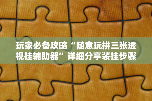 玩家必备攻略“随意玩拼三张透视挂辅助器”详细分享装挂步骤