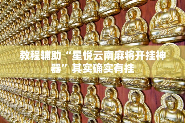 教程辅助“星悦云南麻将开挂神器”其实确实有挂
