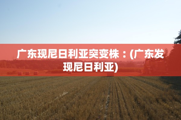广东现尼日利亚突变株︰(广东发现尼日利亚)