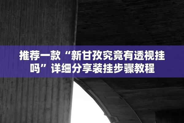 推荐一款“新甘孜究竟有透视挂吗”详细分享装挂步骤教程