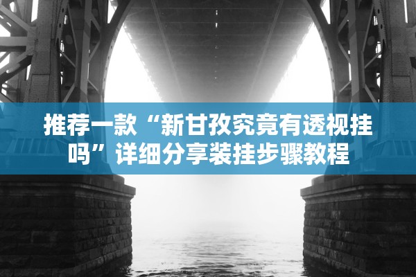 推荐一款“新甘孜究竟有透视挂吗	”详细分享装挂步骤教程