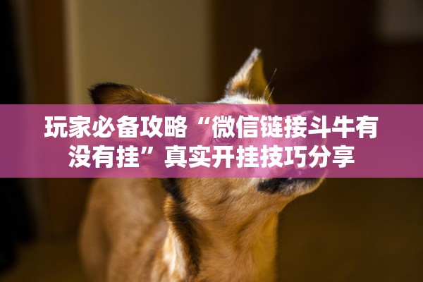 玩家必备攻略“微信链接斗牛有没有挂	”真实开挂技巧分享