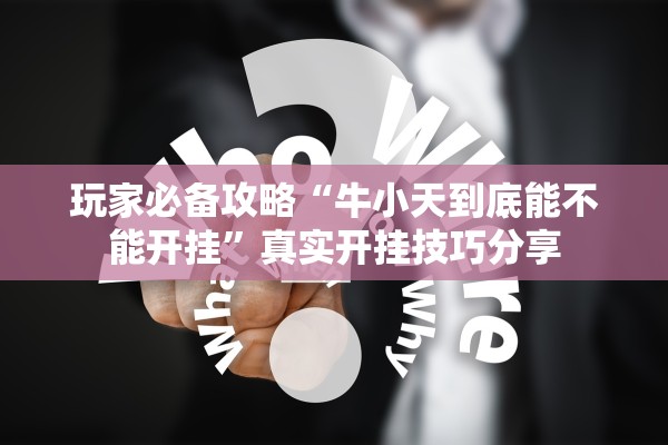 玩家必备攻略“牛小天到底能不能开挂”真实开挂技巧分享