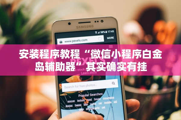 安装程序教程“微信小程序白金岛辅助器”其实确实有挂
