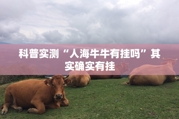 科普实测“人海牛牛有挂吗”其实确实有挂