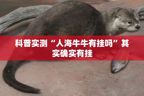 科普实测“人海牛牛有挂吗”其实确实有挂
