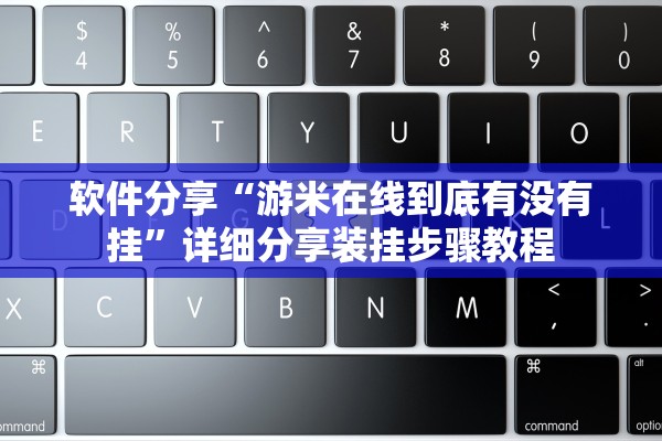 软件分享“游米在线到底有没有挂”详细分享装挂步骤教程
