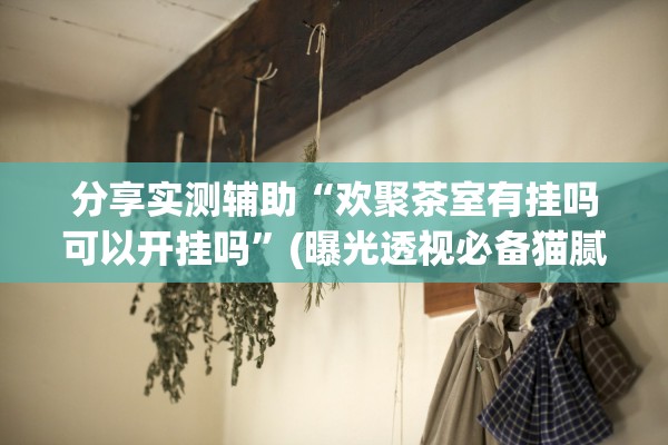 分享实测辅助“欢聚茶室有挂吗可以开挂吗	”(曝光透视必备猫腻)