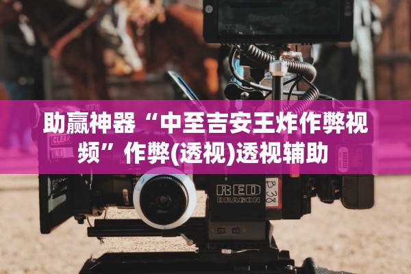 助赢神器“中至吉安王炸作弊视频”作弊(透视)透视辅助 